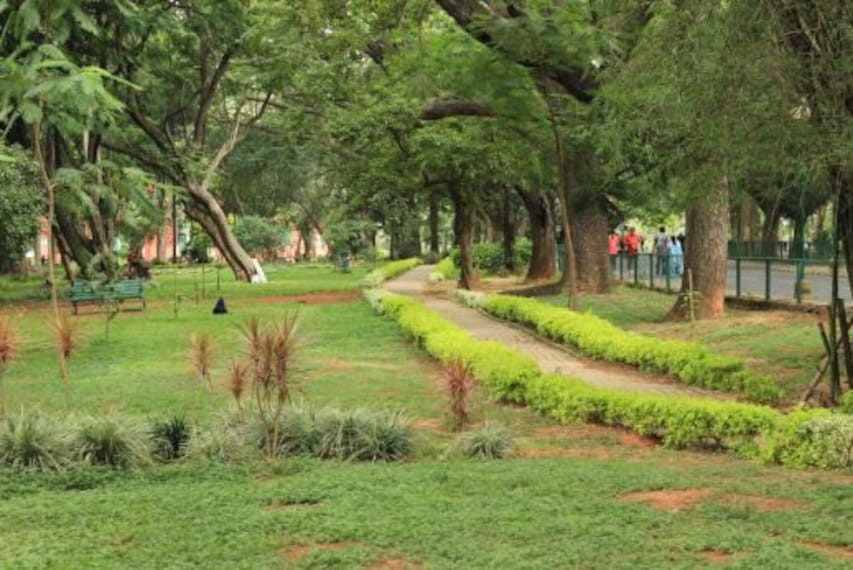 Cubbon Park_3